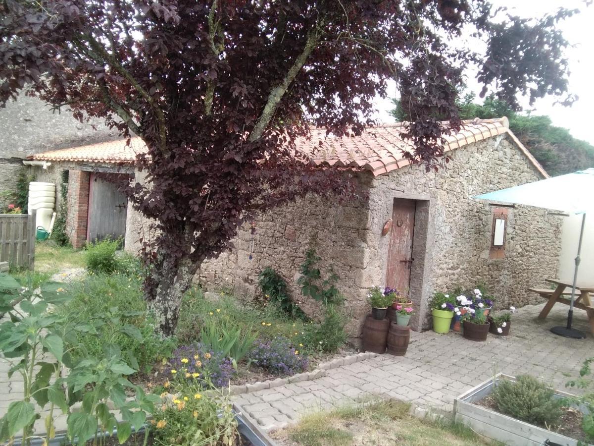 Les Tournesols Bed and Breakfast La Bernardiere Exteriör bild